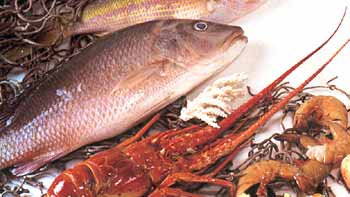 fish2.jpg (14169 bytes)